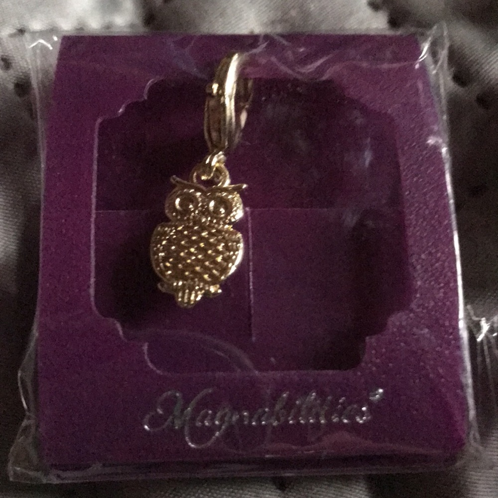 Magnabilities charms - Picture 2 of 6